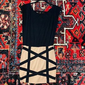 The Black and Tan Dress